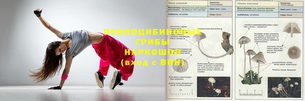амфетамин Алексеевка