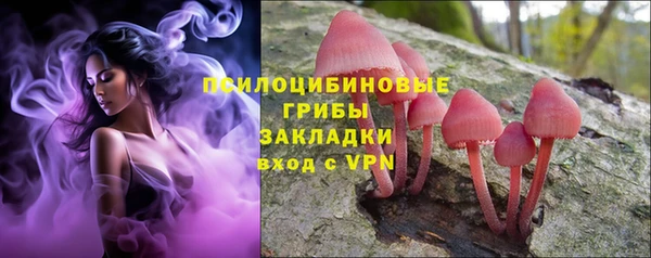 амфетамин Алексеевка